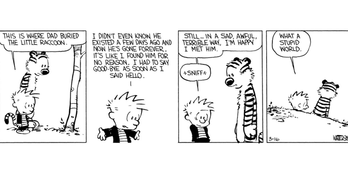 Calvin reclama com Hobbes sobre sua tristeza pela morte de um bebê guaxinim
