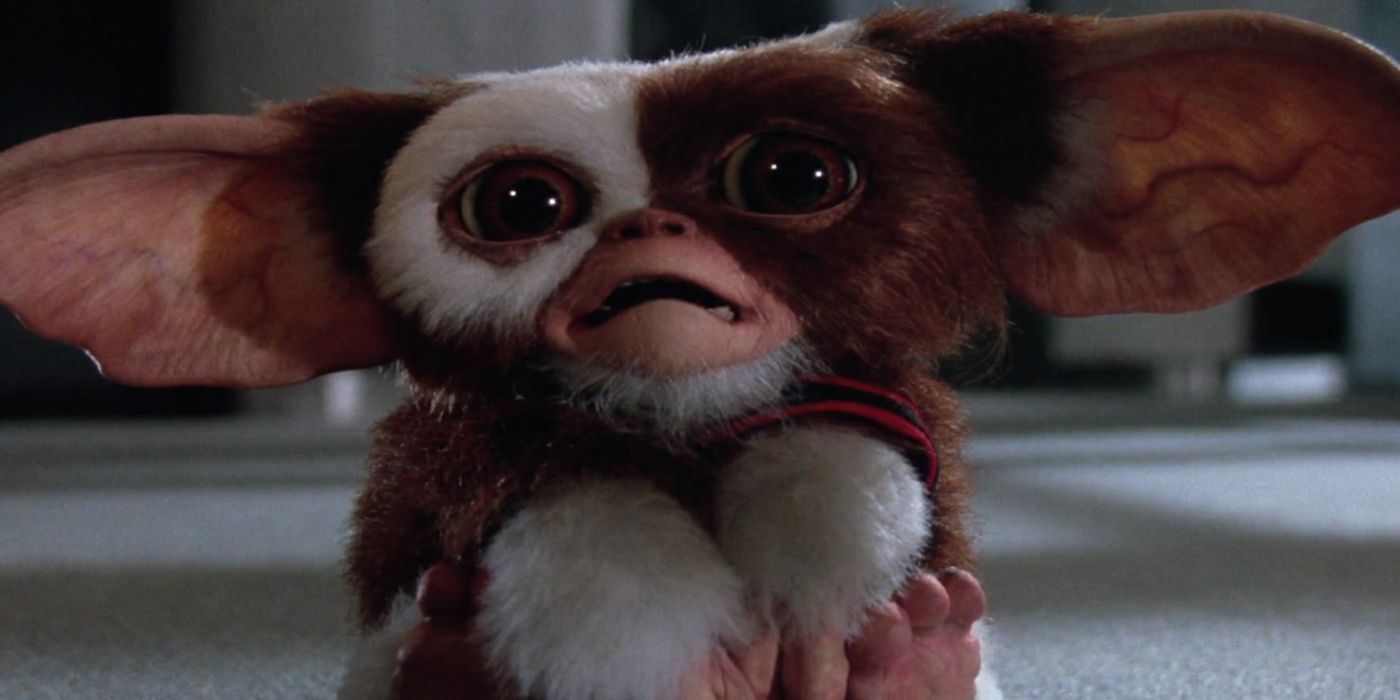 Gremlins 1 & 2 Landing at New Streaming Home Together for Halloween Season