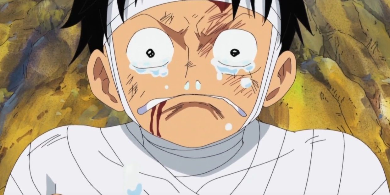 luffy is distraught and wears bandages in one piece