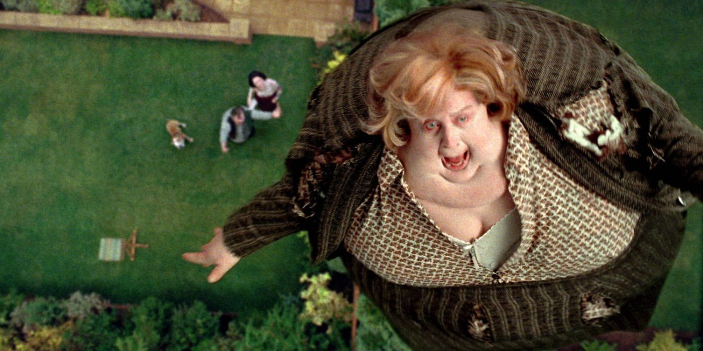 What happened to Marjorie Dursley in Harry Potter?