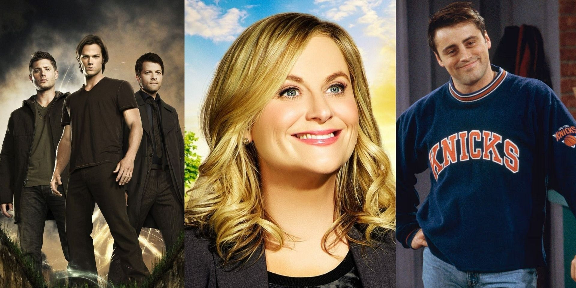 The Best TV Shows With 100 Or More Episodes