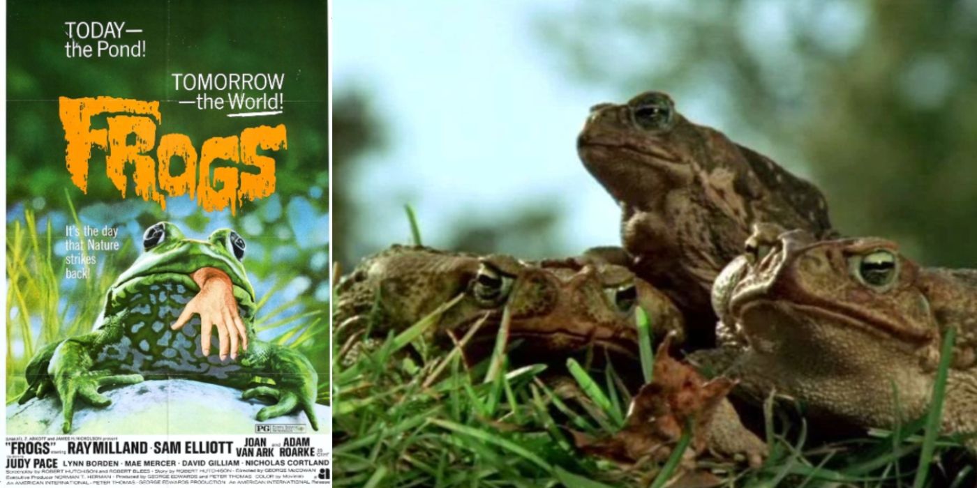 A split image of the Frogs poster and some frogs in Frogs.