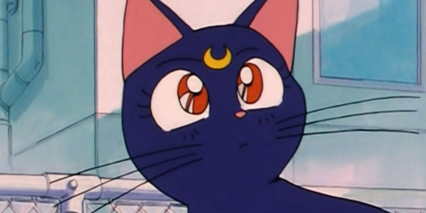 Luna looking concerned from Sailor Moon. 