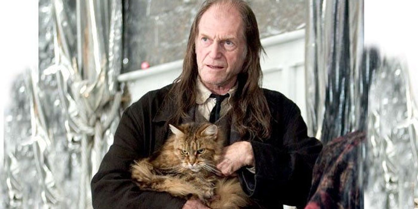 10 Most Controversial Harry Potter Characters, Ranked