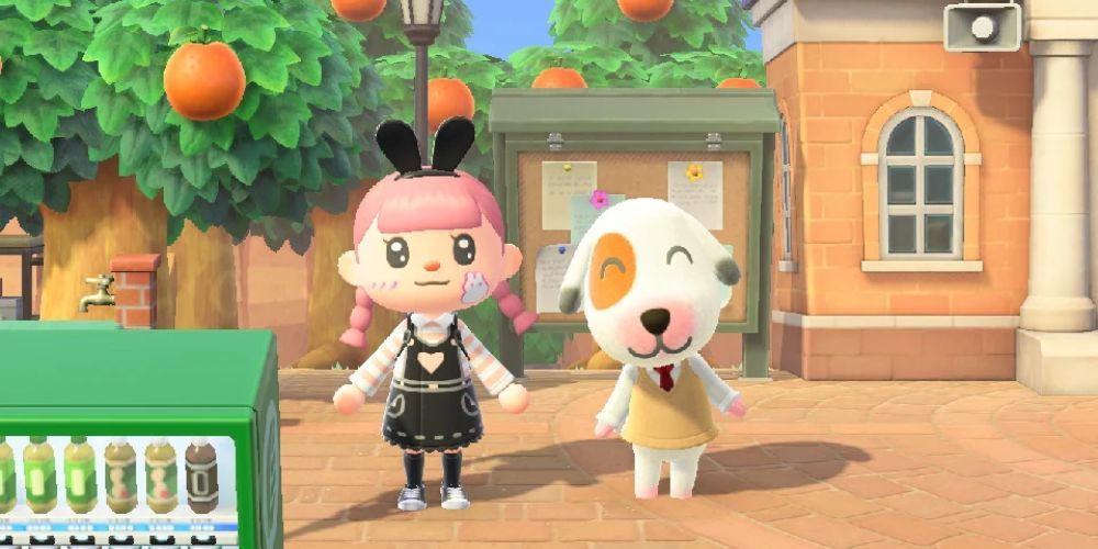 Bones sorrindo ao lado do jogador em Animal Crossing New Horizons