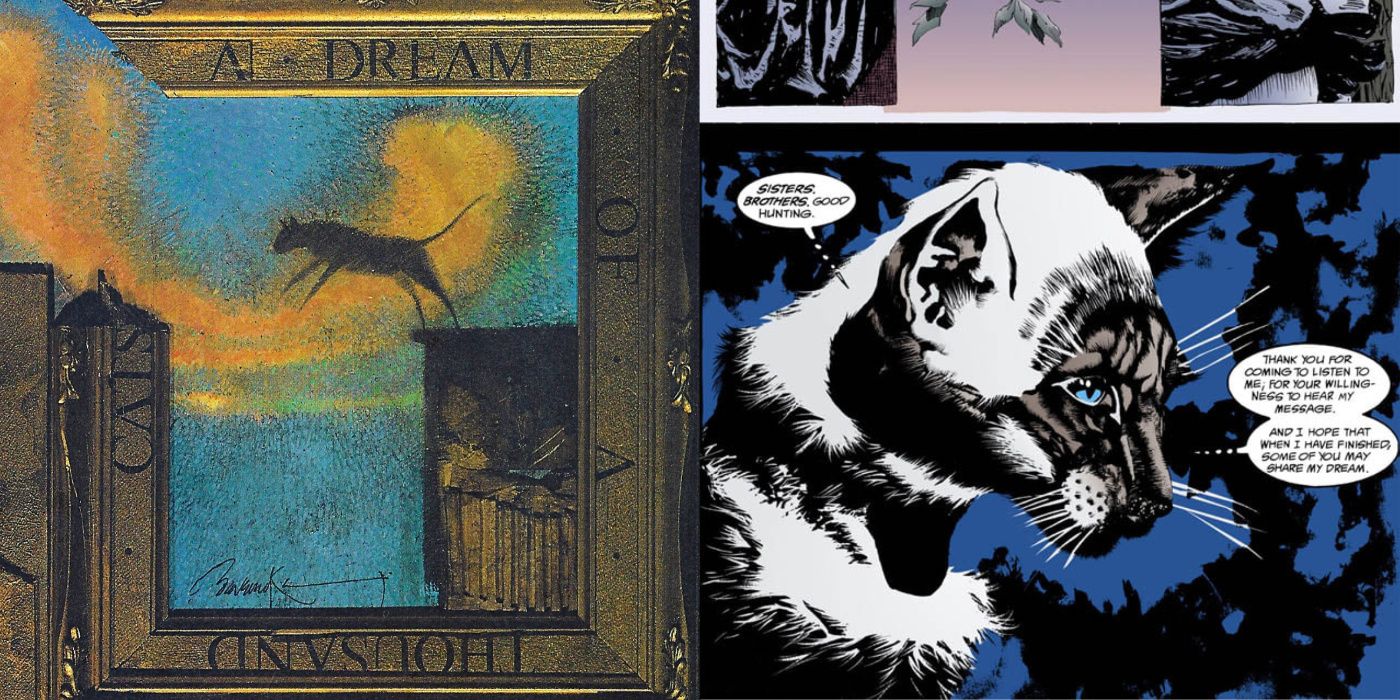 A split image of the cover to The Sandman #18 and the issue's cat protagonist