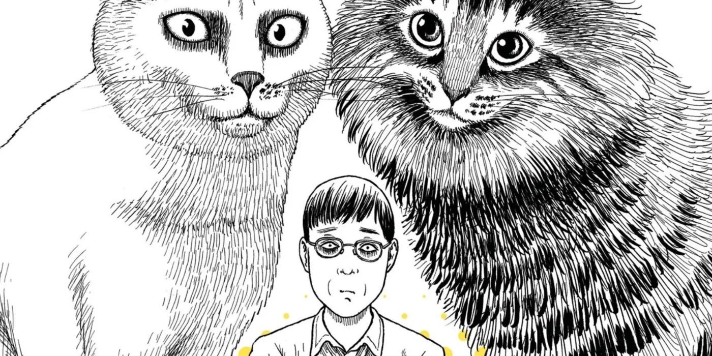 Panel from Junji Ito's Cat Diary: Yon & Mu showing J-kun flanked by Yon and Mu