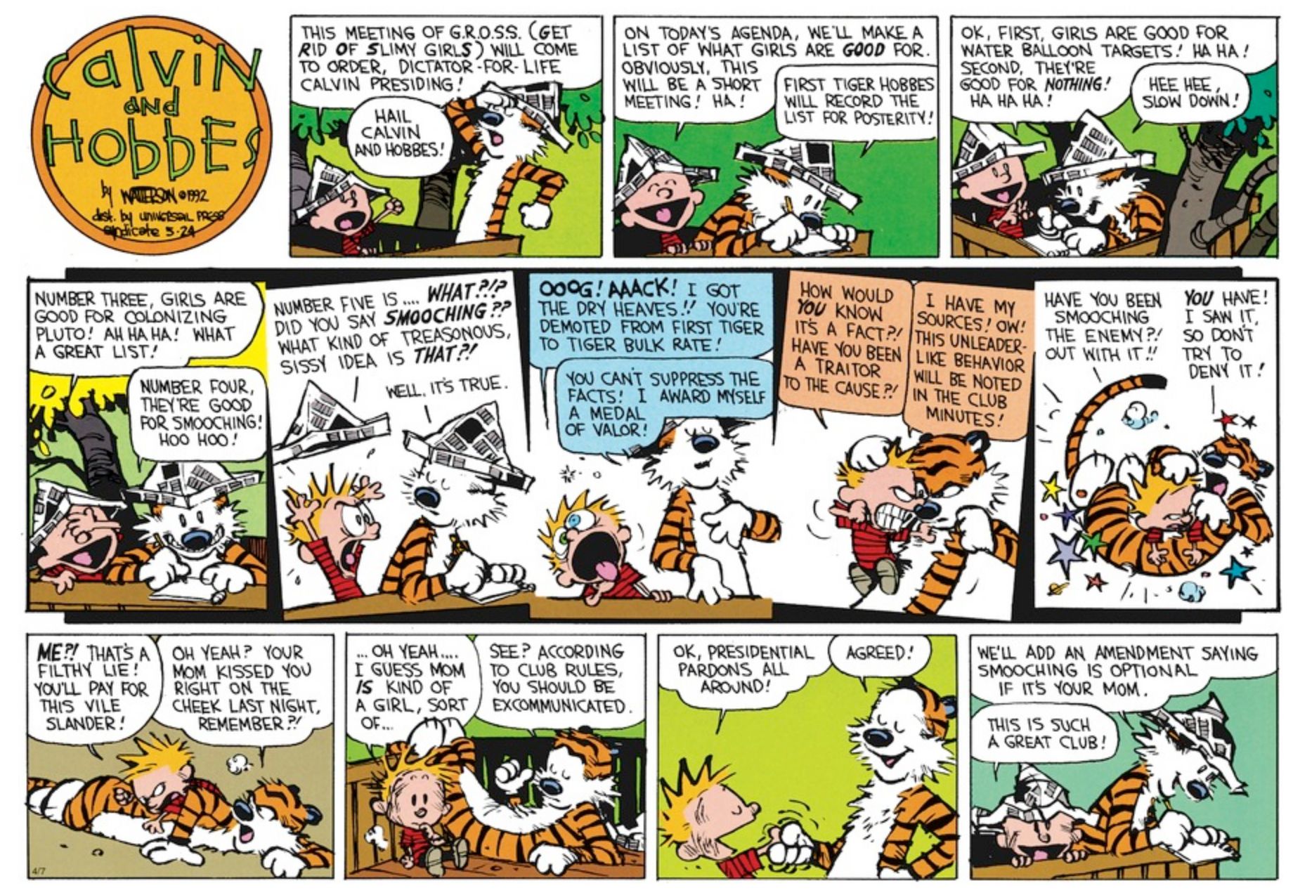 GROSS meeting in Calvin and Hobbes