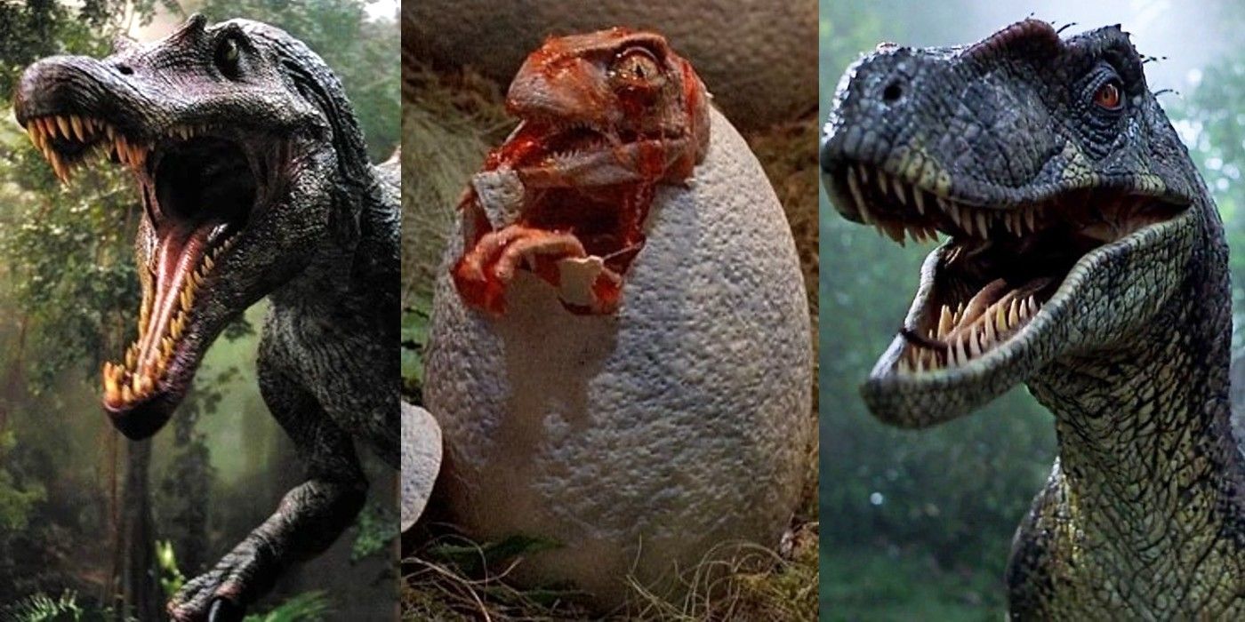 Spinosaurus, Baby Velociraptor and Jurassic Park III's Velociraptor