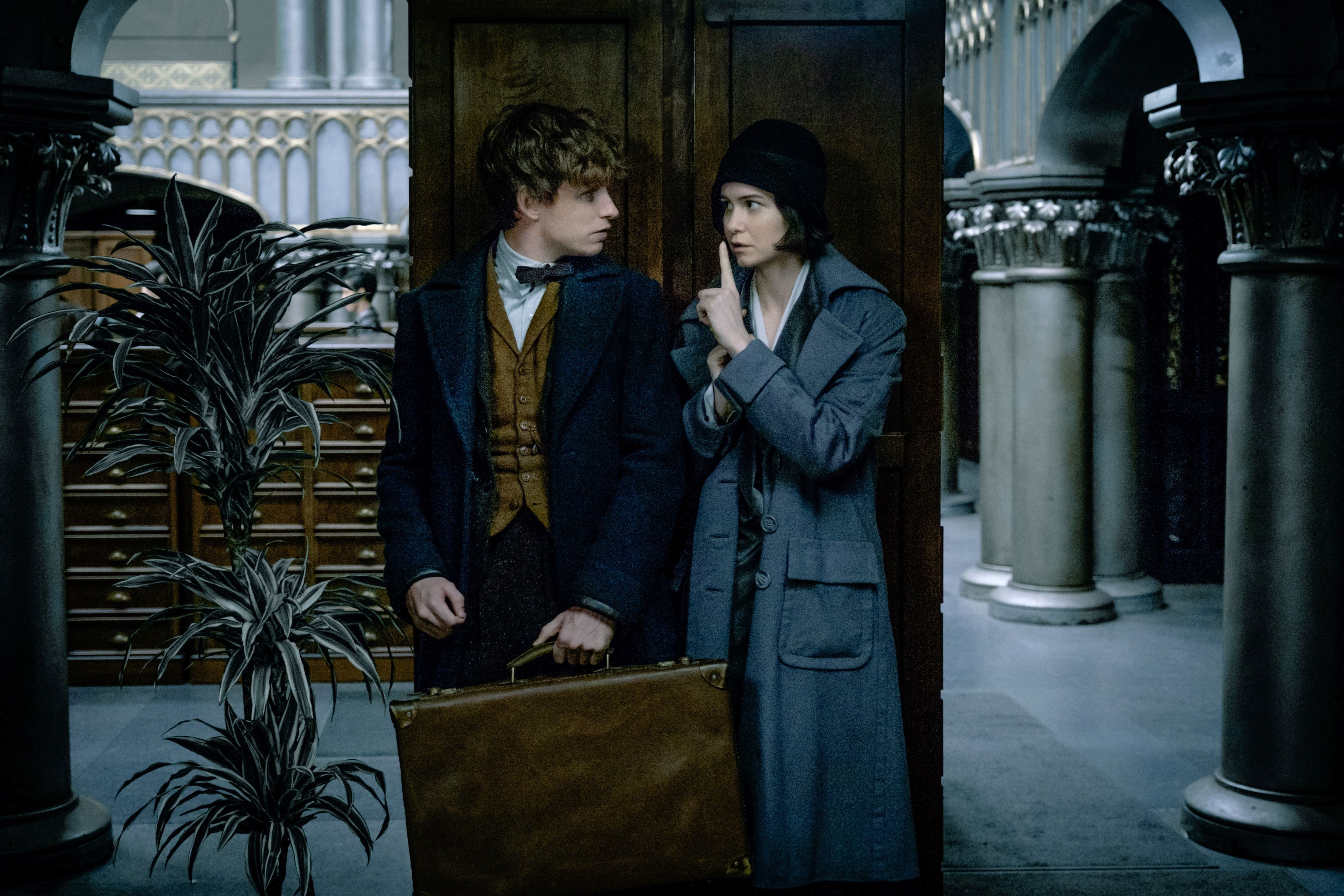 Fantastic Beasts Star Addresses Harry Potter Spinoff's Future