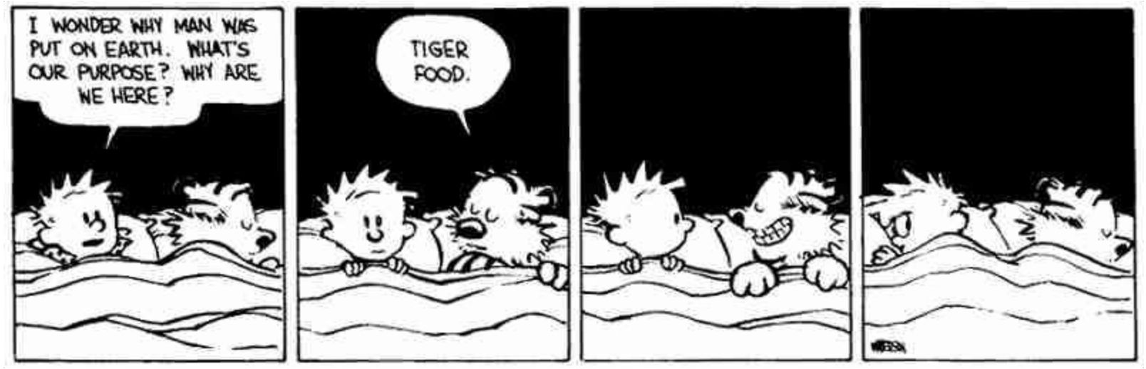 Tiger food in Calvin and Hobbes