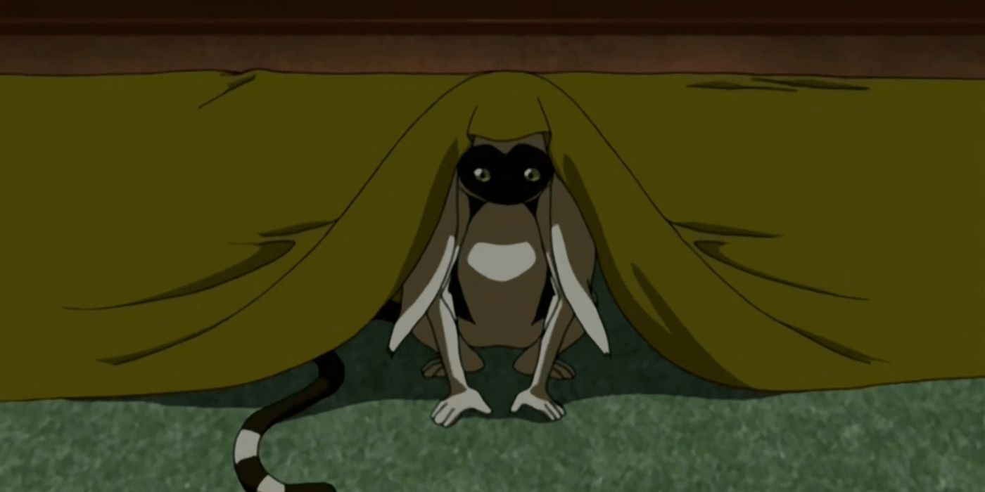 Lord Momo peaking out of a blanket from Avatar: The Last Airbender. 