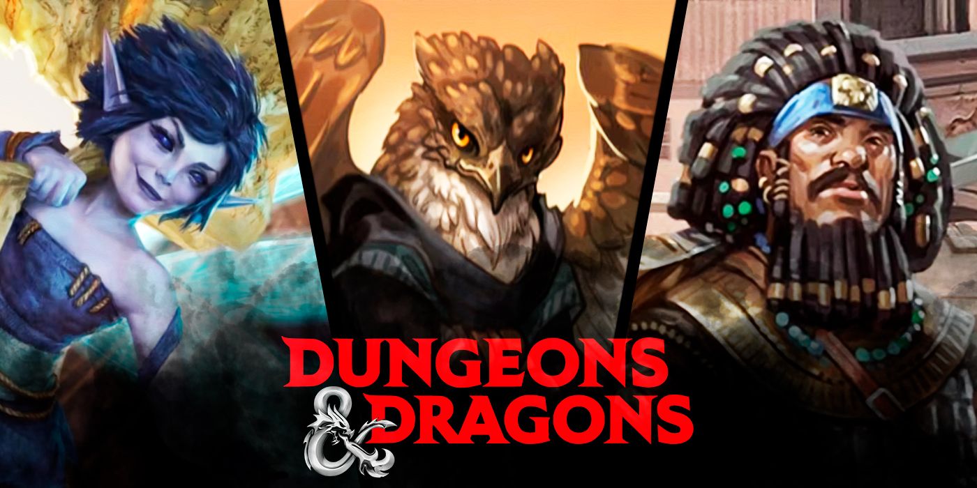 Dungeons And Dragons Characters Races