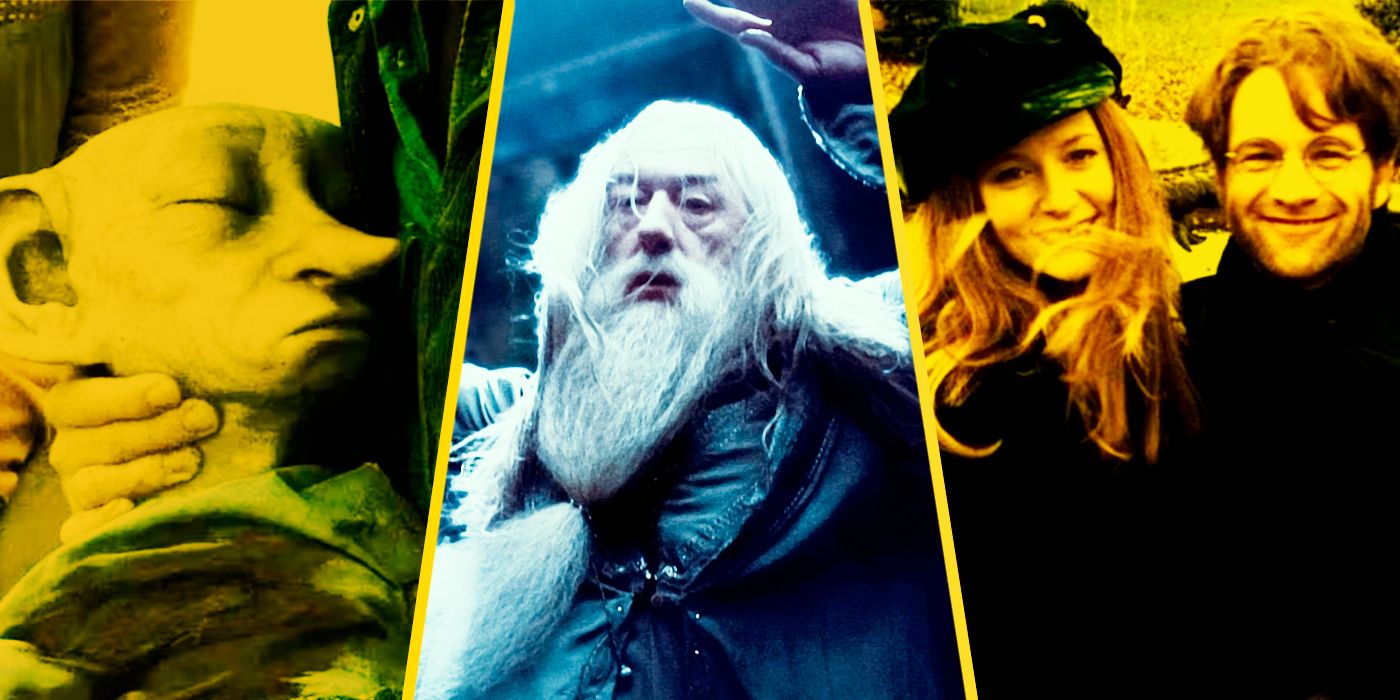 Harry Potter' Dumbledore, Dobby and Harry' Parents