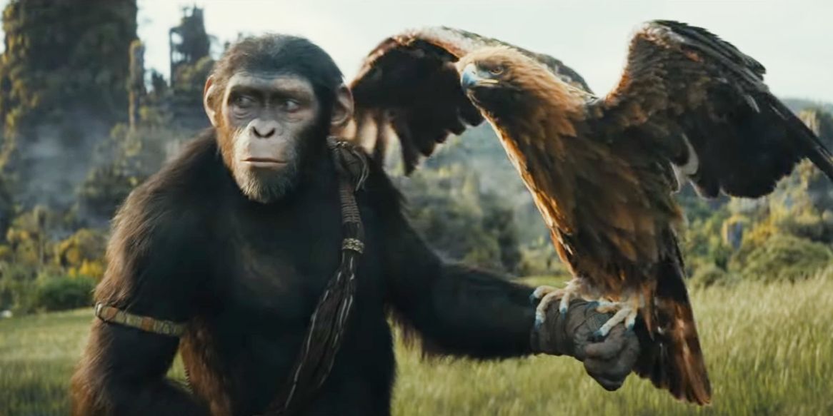 'Nobody Likes a Part 4': Kingdom of the Planet of the Apes Director Explains Time Jump