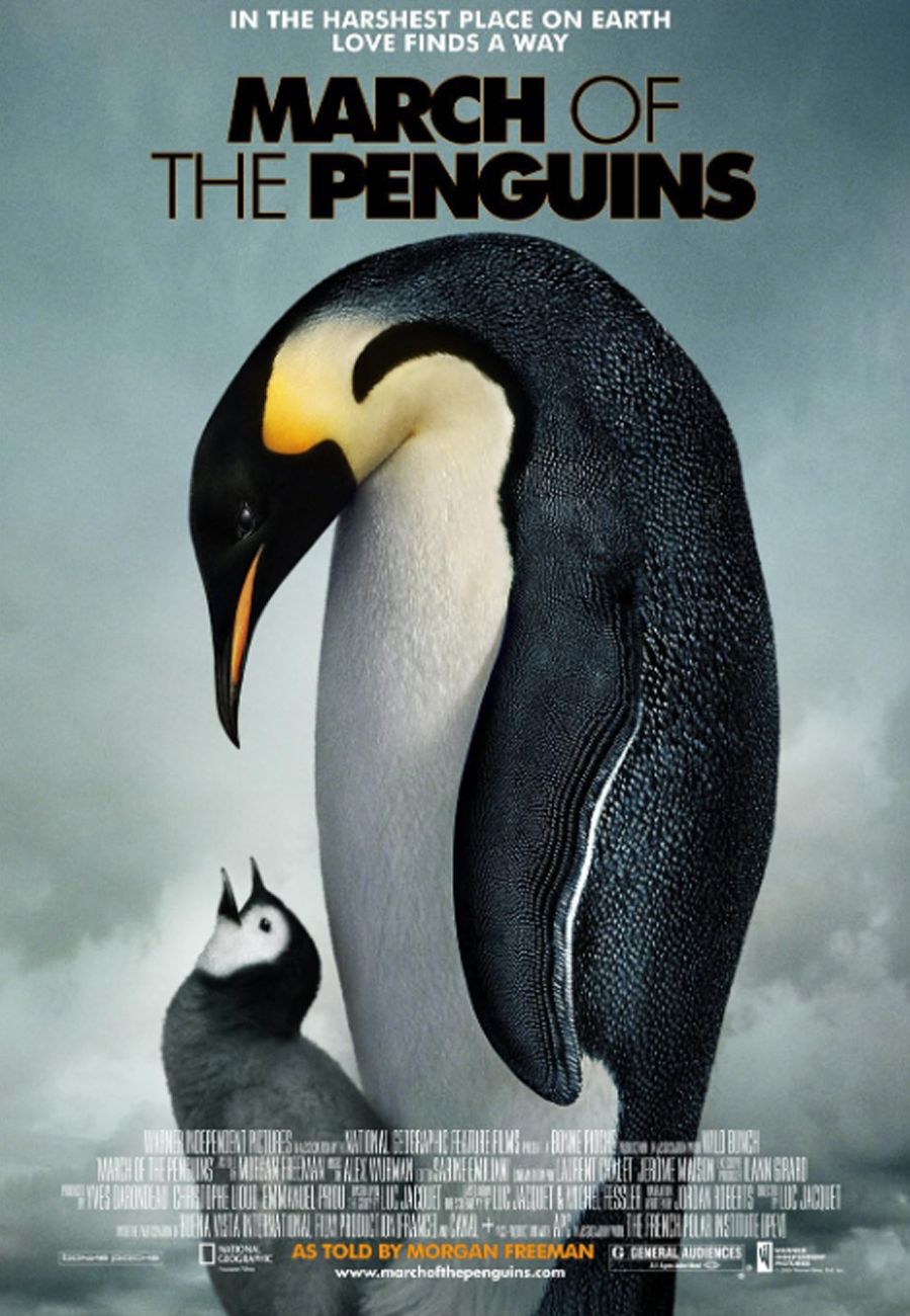 March of the Penguins documentary cover photo with two penguins