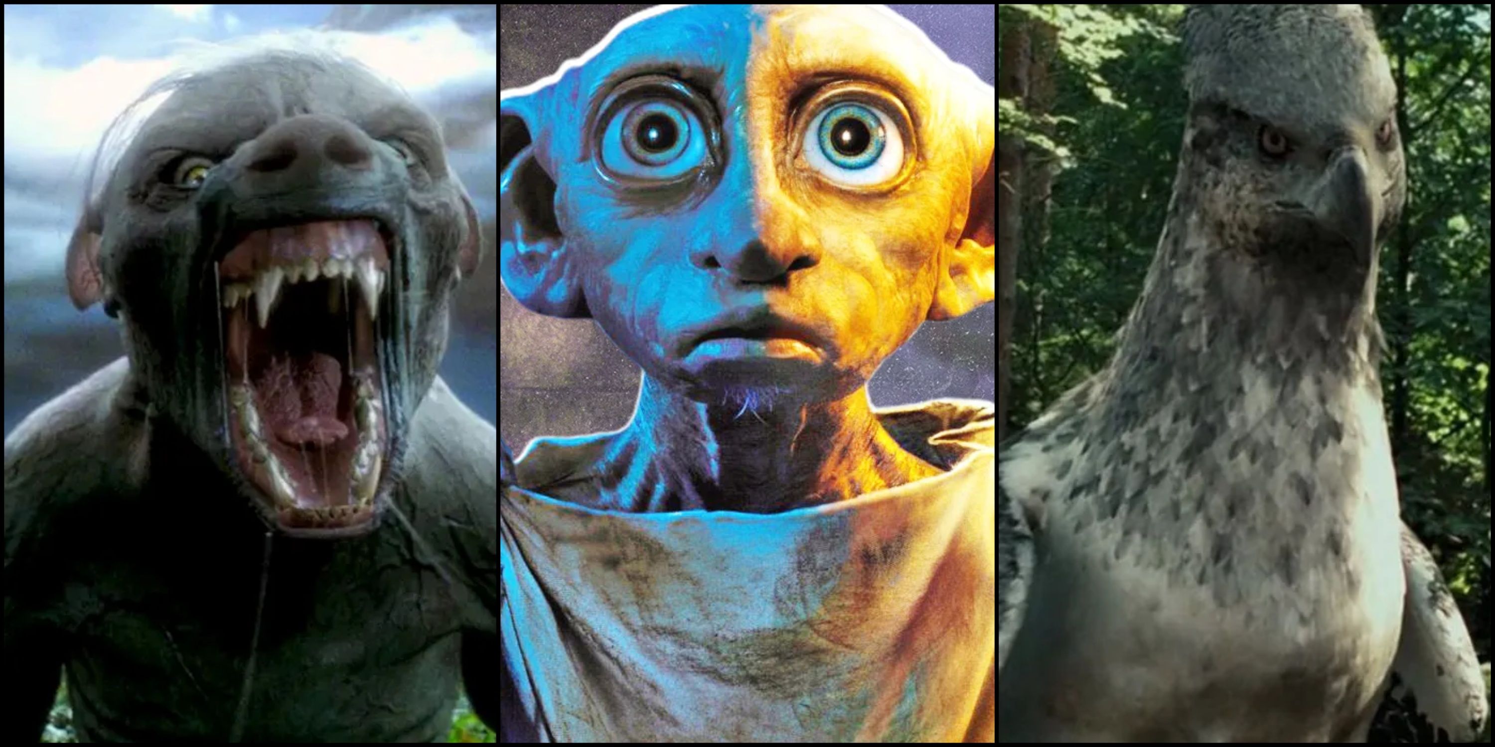 Split image Harry Potter Lupin werewolf, Dobby the Elf, Hippogriff