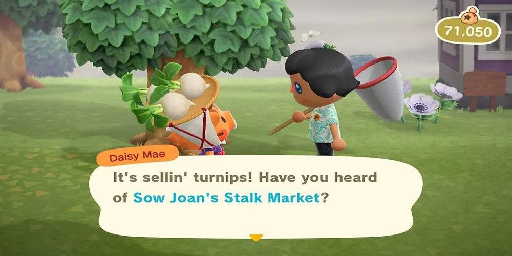 Fastest Ways To Make Money In Animal Crossing: New Horizons