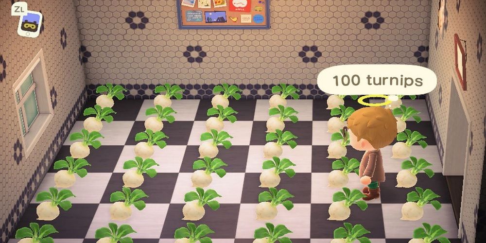 Самые быстрые способы заработать деньги в Animal Crossing: новые горизонты