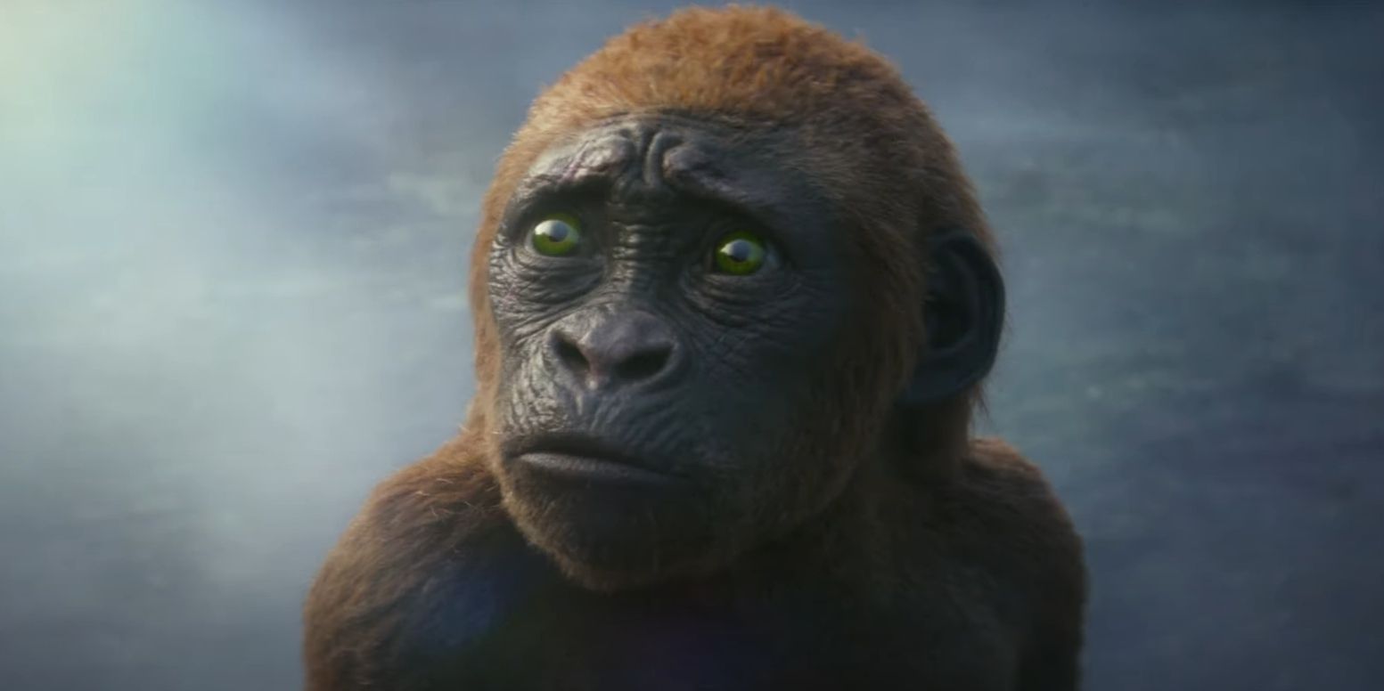 Baby Kong aparece em Godzilla x Kong: O Novo Império