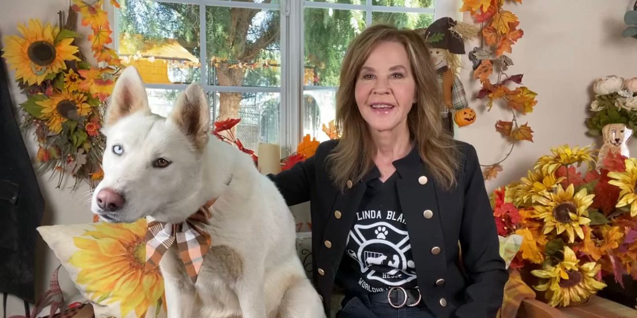 Linda Blair sits inside with a dog