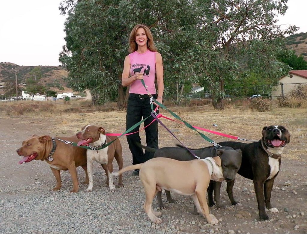Linda Blair walks five dogs