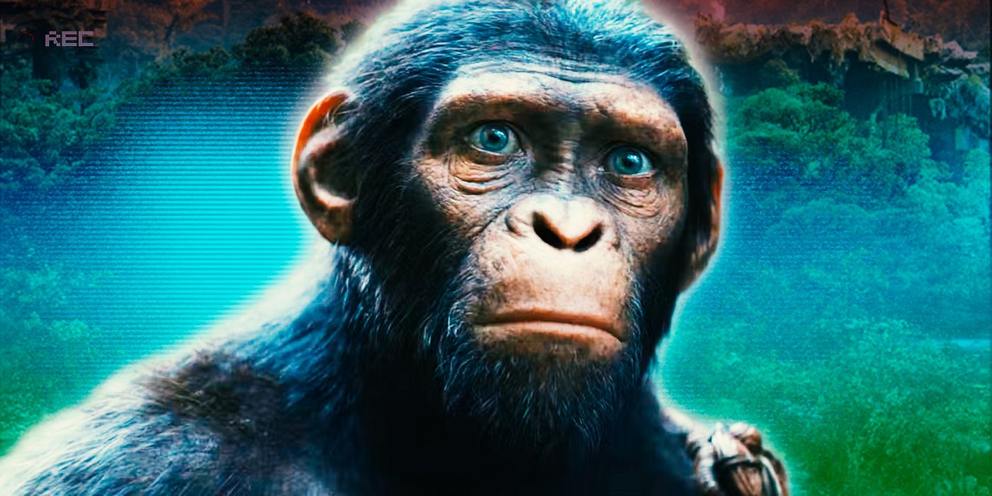 «Королевство планеты обезьян» достигло рубежа кассовых сборов франшизы