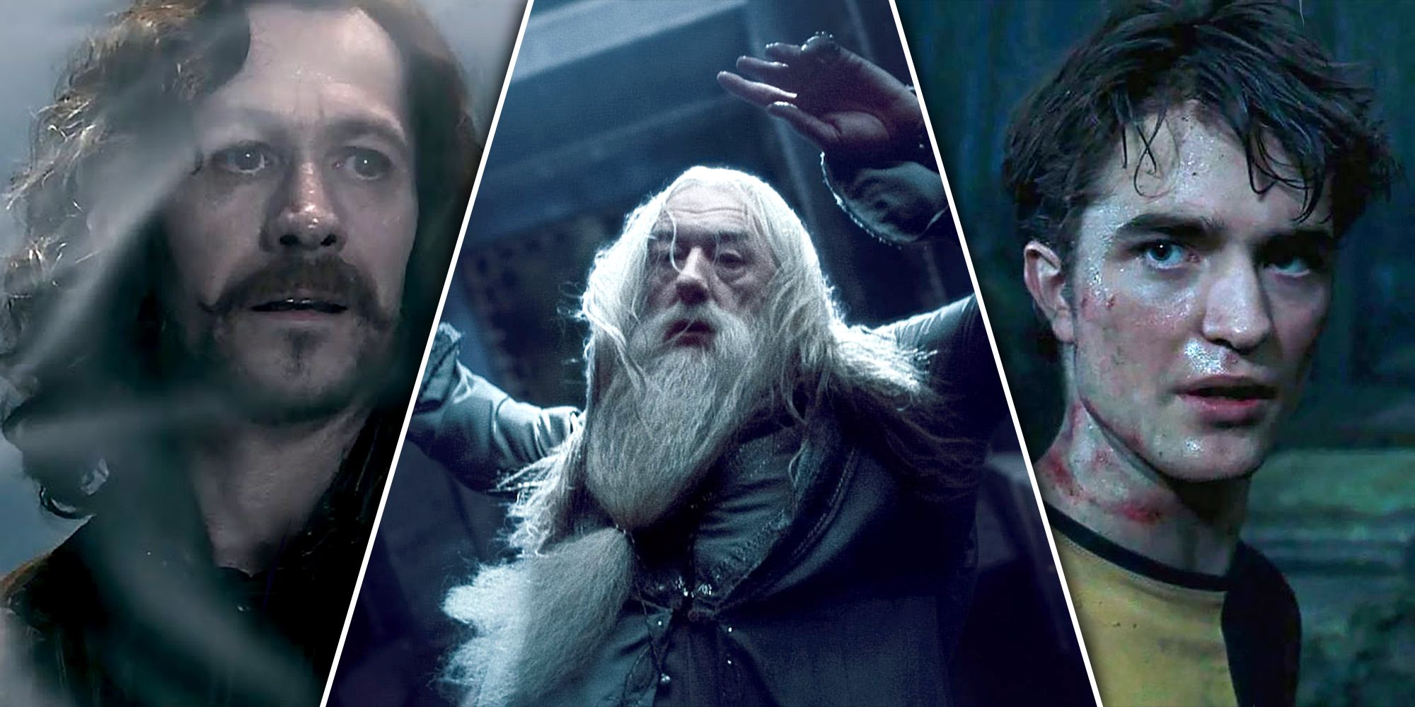 Sirius Black Dumbledore and Cedric Diggory from Harry Potter