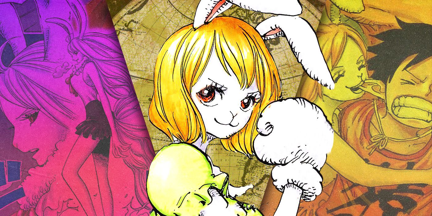 Divided images of the carrot in one piece