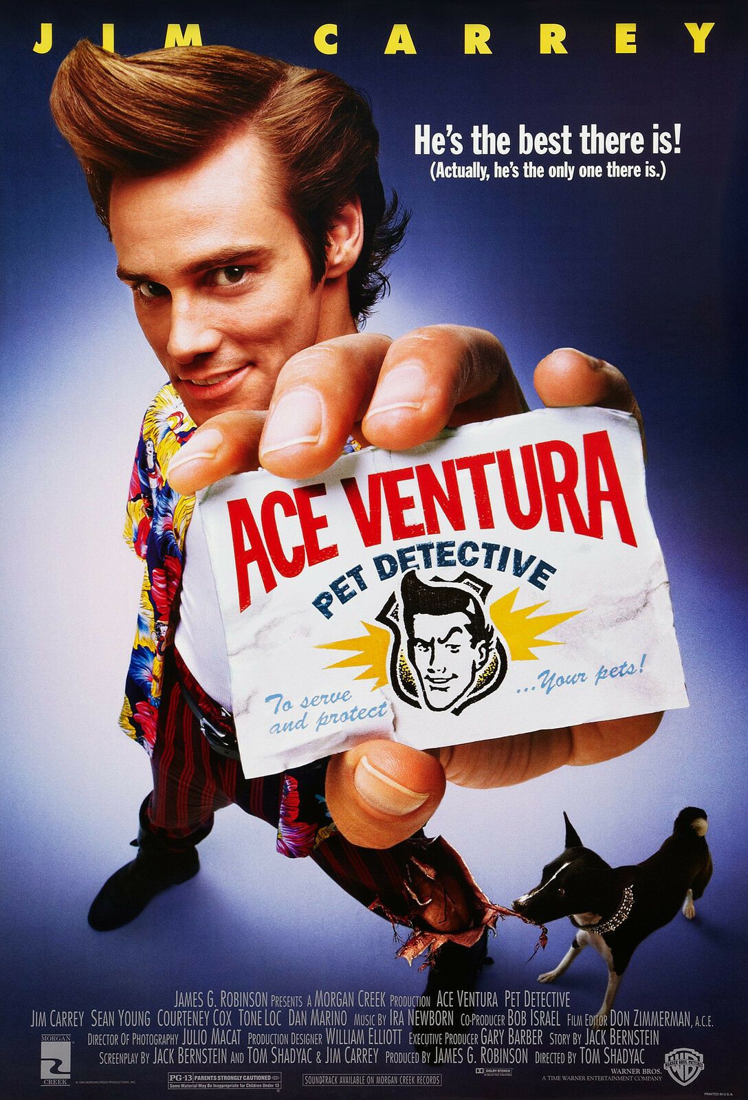 Ace Ventura Pet Detective Film Poster