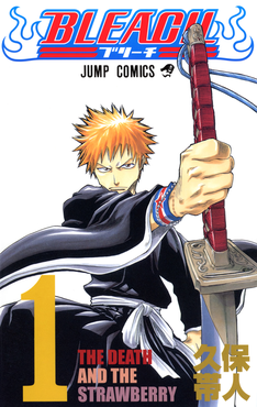 Ichigo and his Zanpakutō on Bleach Manga cover art poster