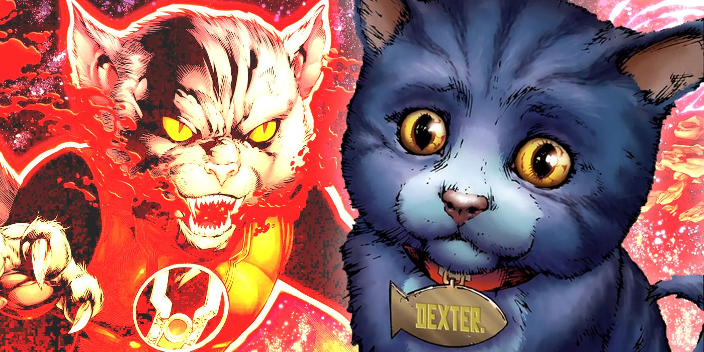 Dex-Starr as a kitten before his transformation into a Red Lantern who appears in the background