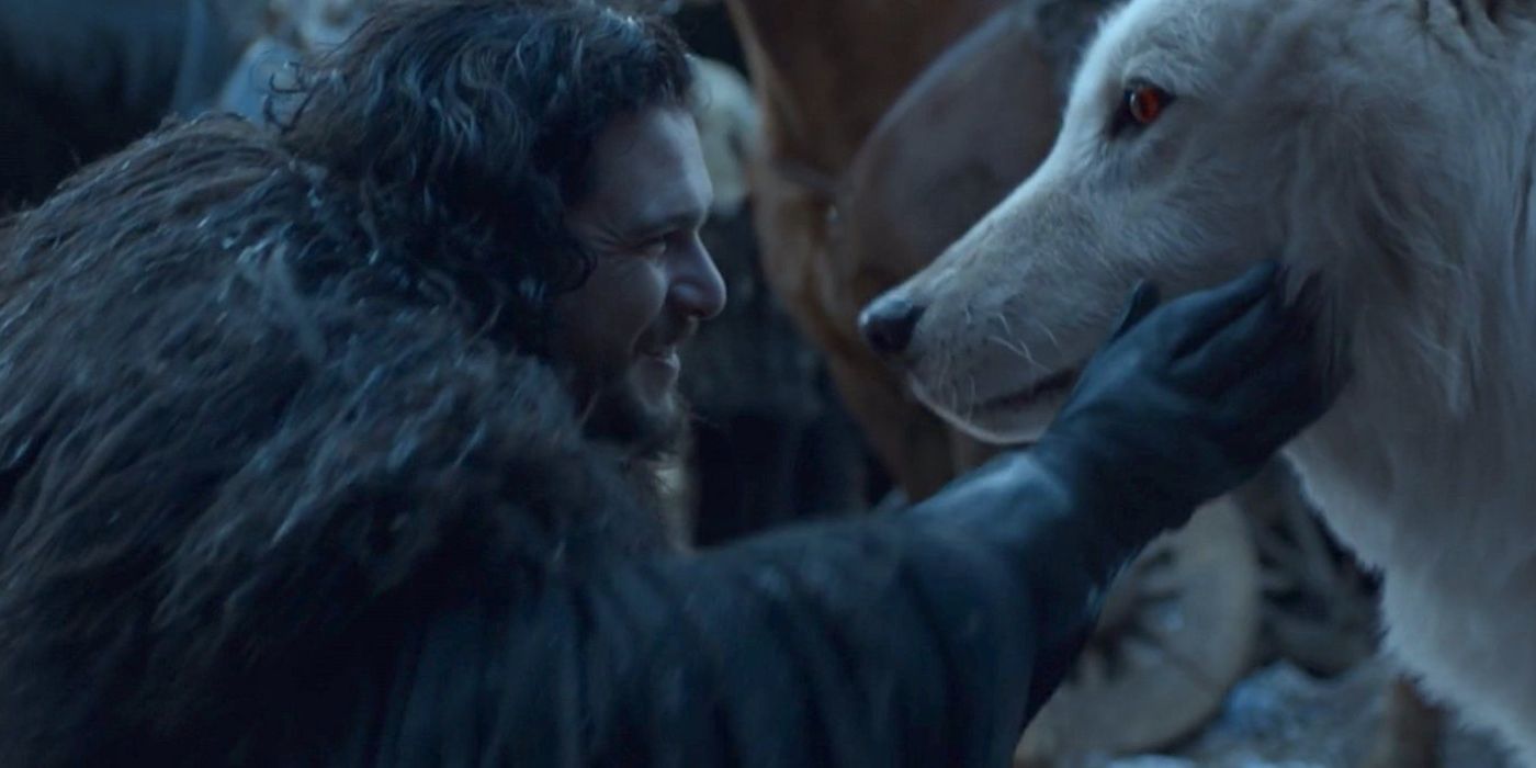 Jon Snow's Family Tree, Explained