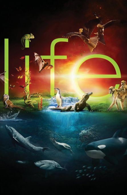 Life British Nature Documentary poster 2009