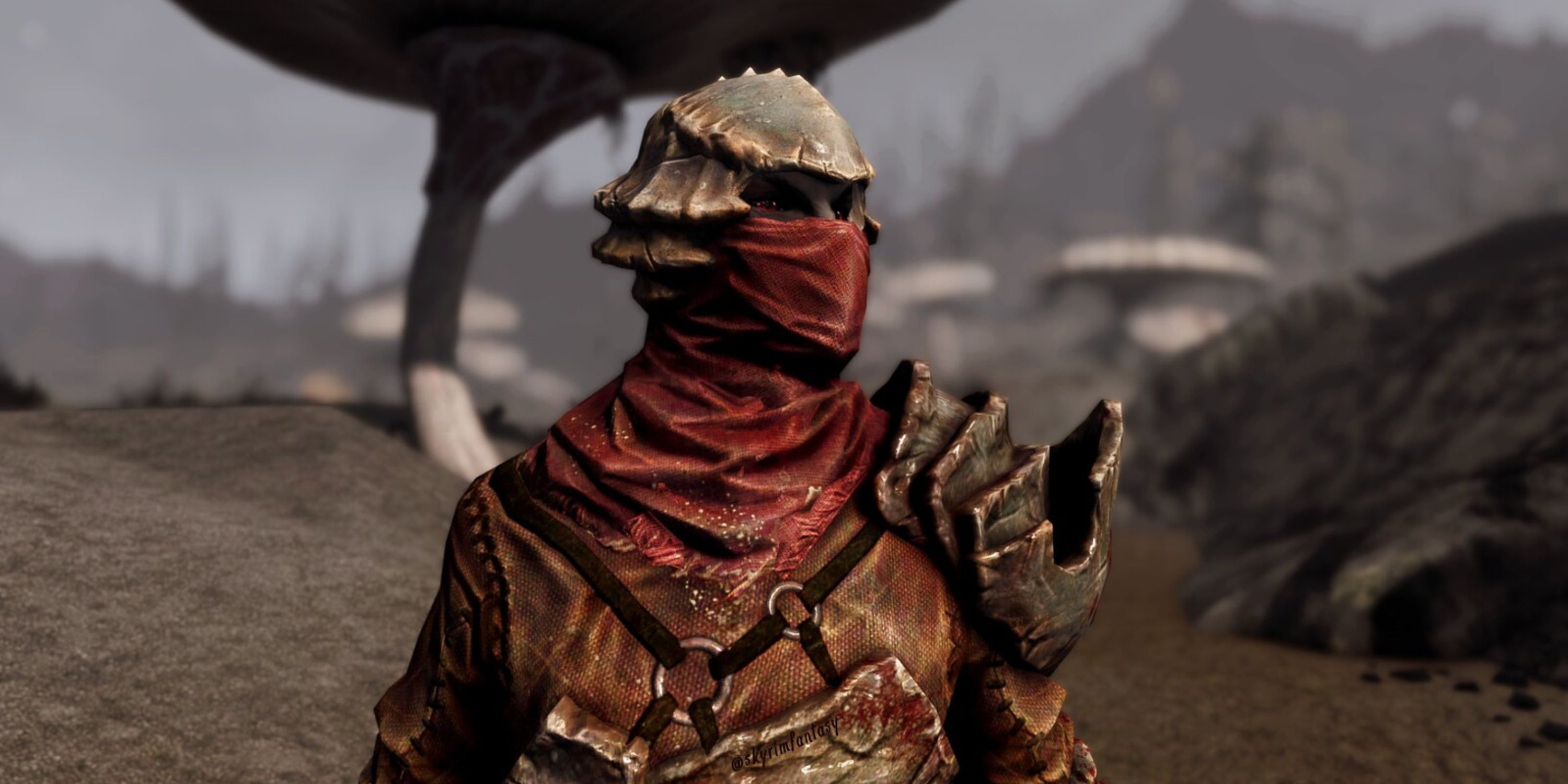 Teldryn Sero from Elder Scrolls V: Skyrim is staring off into the distance.