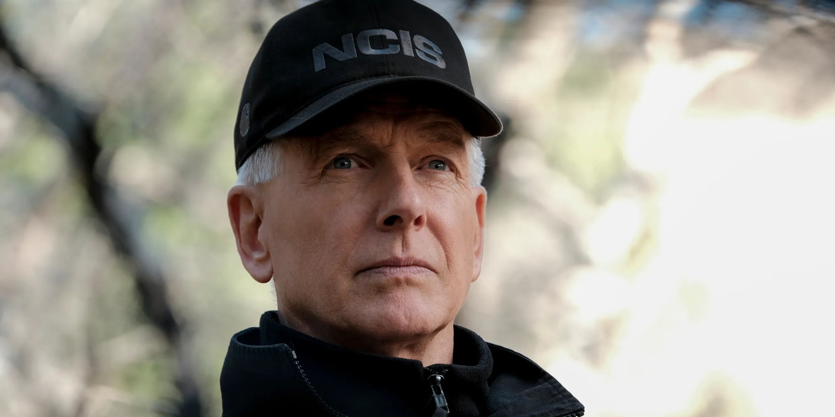Gibbs looks across the forest in NCIS