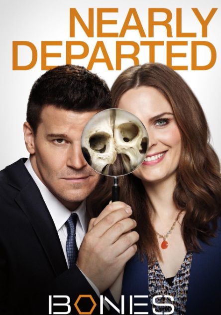 David Boreanaz and Emily Deschenal in Bones TV series