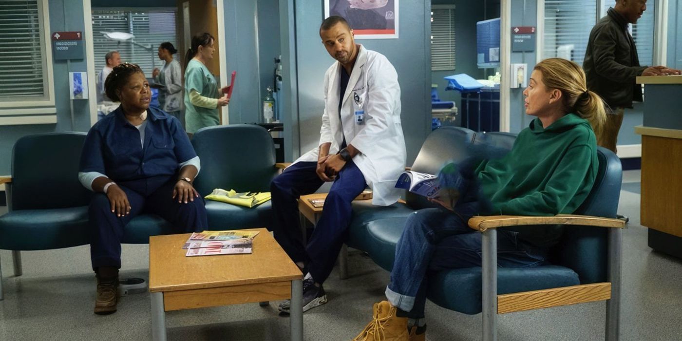 meredith grey and jackson avery speaking with a patient's family in the waiting room