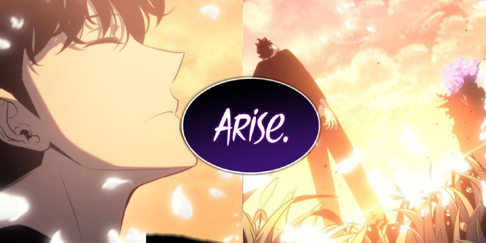 Sung Jinwoo uses Arise on himself in solo leveling manhwa