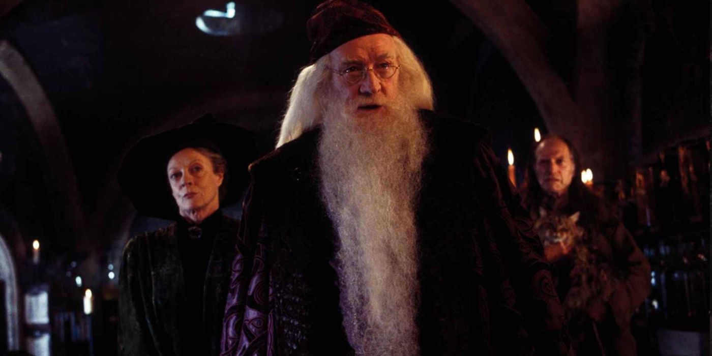 Top 10 Harry Potter Characters, Ranked by Screen Time