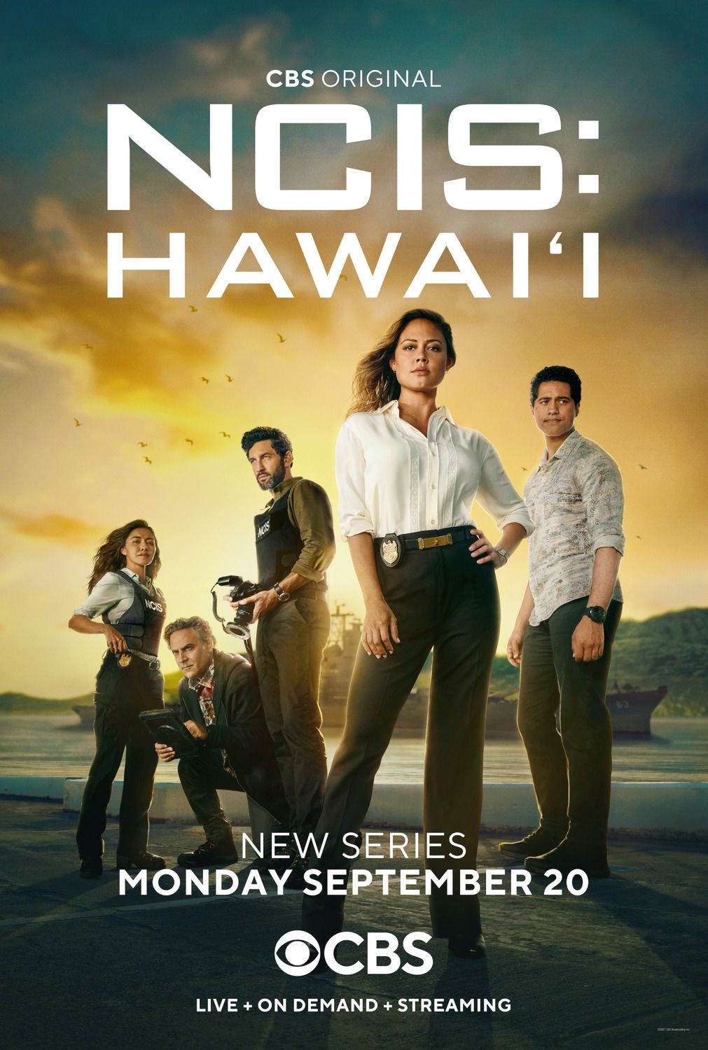 NCIS Hawaii TV Show Poster