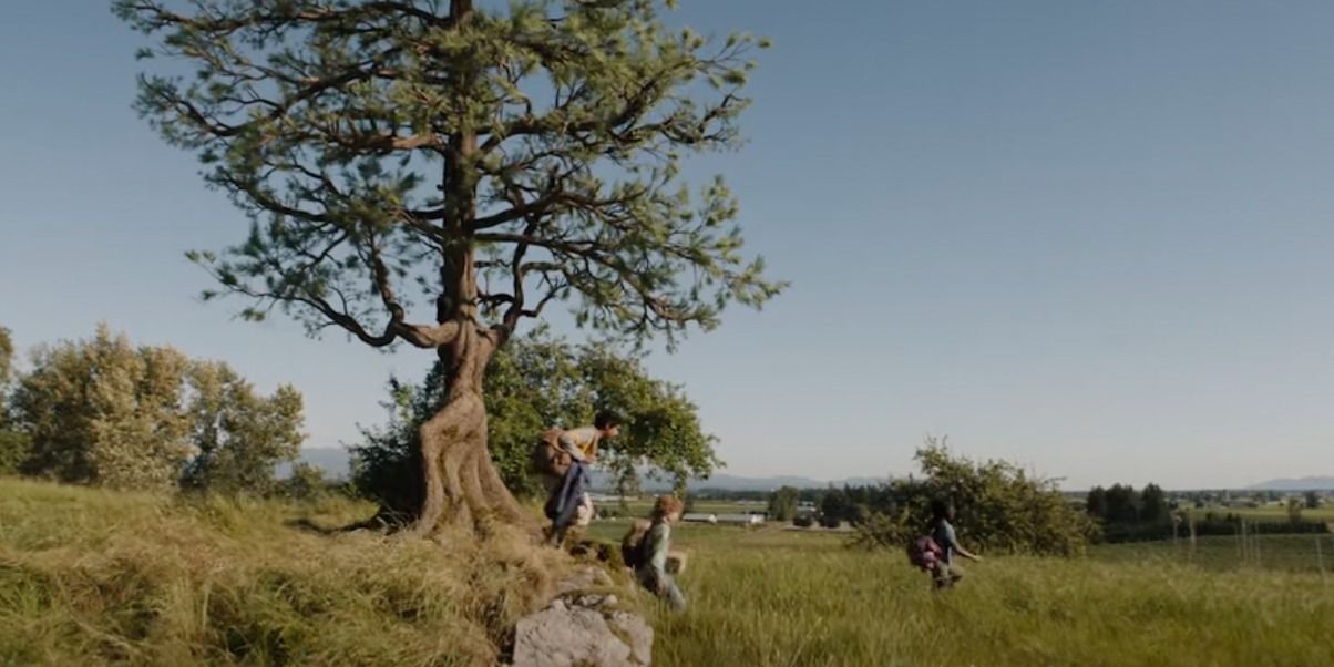 El equipo pasa por el árbol de Thalía en Percy Jackson y los dioses del Olimpo.