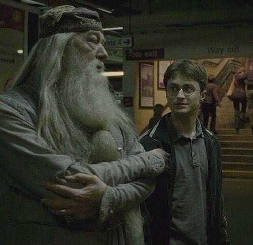 How Dumbledore Knew Harry Potter Would Survive