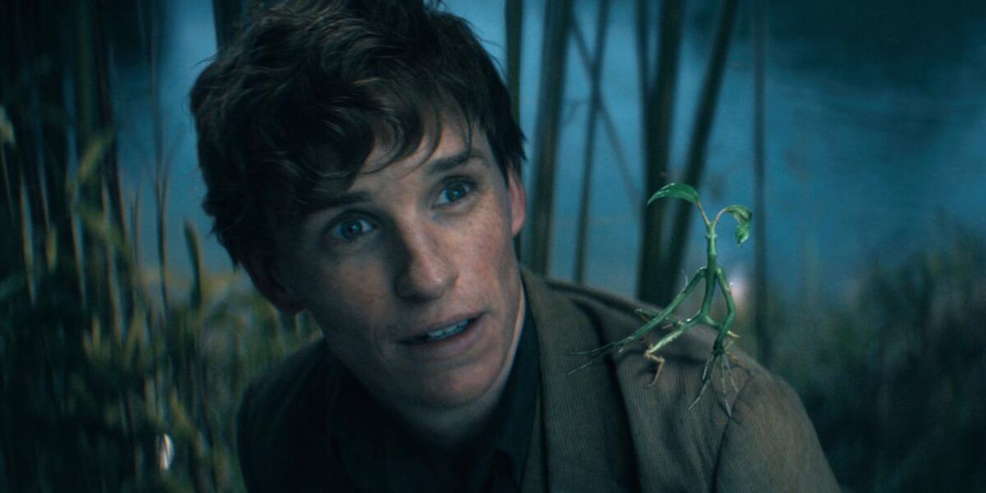 Harry Potter's Failed Fantastic Beasts Films Land a New Streaming Home in September