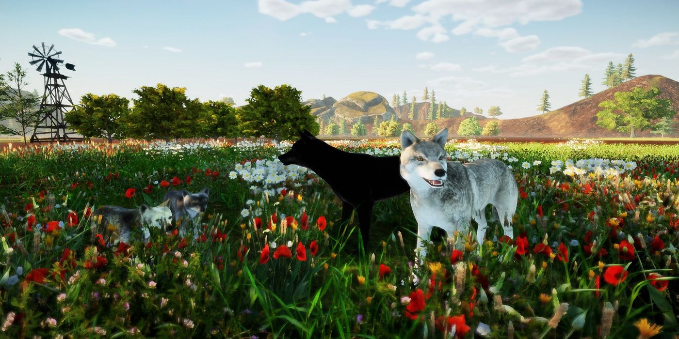 Um grupo de cães em um campo de flores em Animallica.