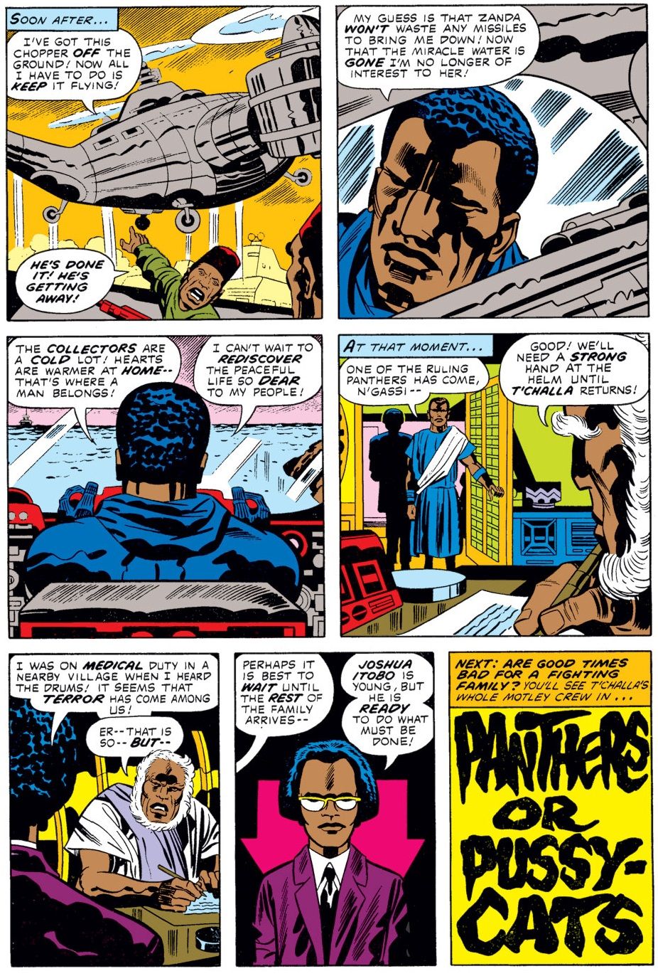 Who in the World Were Black Panther's 'Black Musketeeers'?