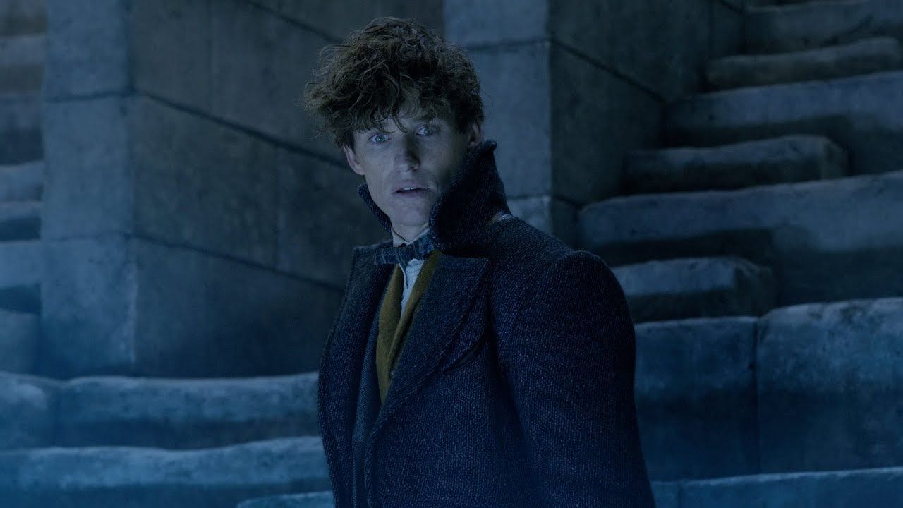 Fantastic Beasts Star Addresses Harry Potter Spinoff's Future