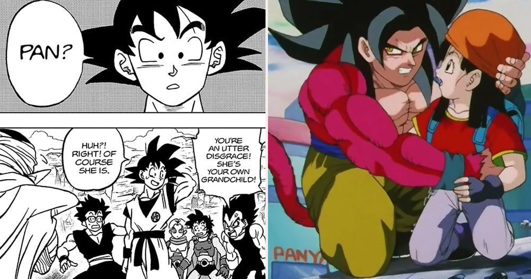 Goku forgetting Pan in Dragon Ball Super and SSJ4 Goku holding Pan in DBGT