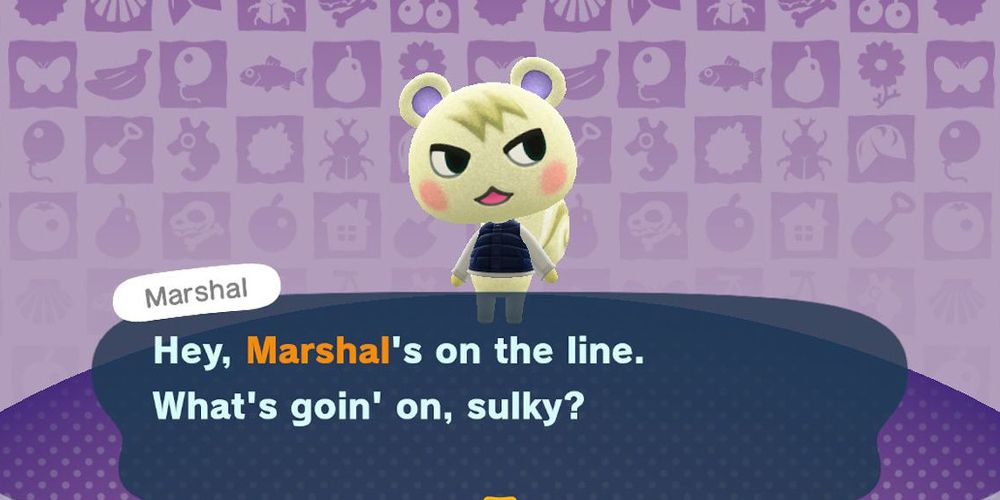 Marshal greets the player after his amiibo card is scanned in Animal Crossing: New Horizons.