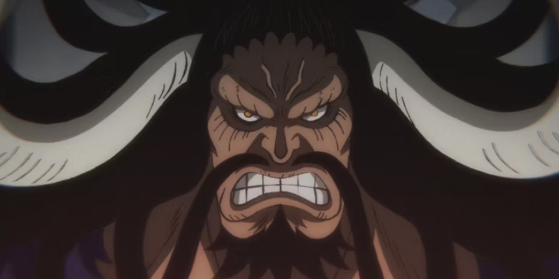 Kaido looking irritated in One Piece